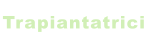 Trapiantatrici